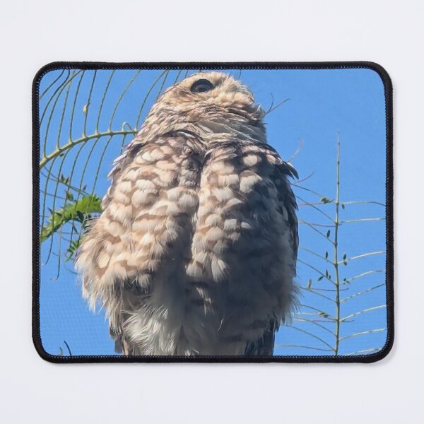 Item preview, An little owl friend designed and sold by LifeLookingCloser.