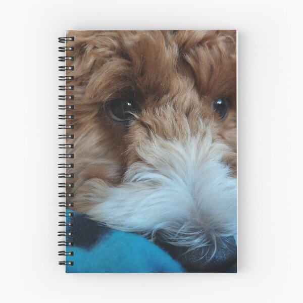 Item preview, Giving puppy dog eyes designed and sold by LifeLookingCloser.