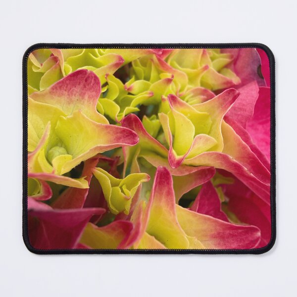 Item preview, Glowing Petals  designed and sold by Betsy Phillips.