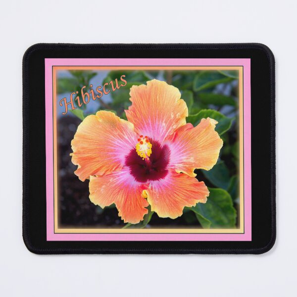 Item preview, Hibiscus Beauty designed and sold by CarolM.