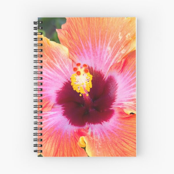 Item preview, Hibiscus Beauty designed and sold by CarolM.