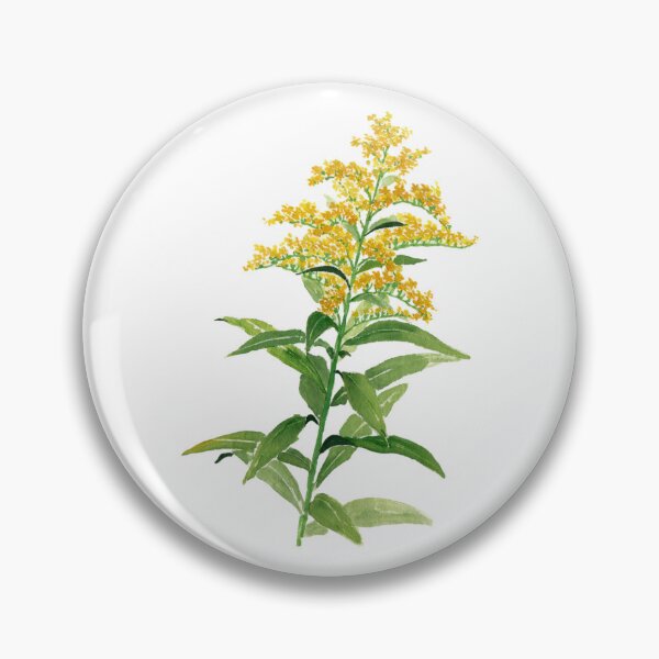 Item preview, August 13th birthday flower Goldenrod designed and sold by birthflower.