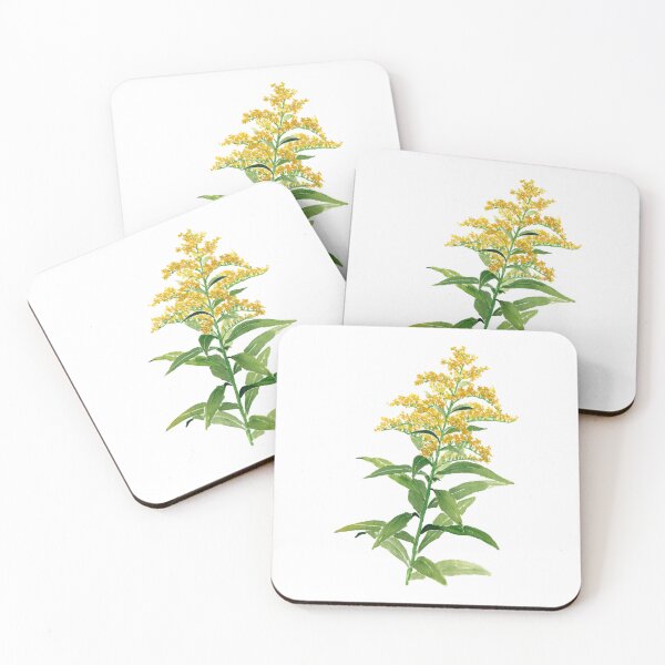 Item preview, August 13th birthday flower Goldenrod designed and sold by birthflower.