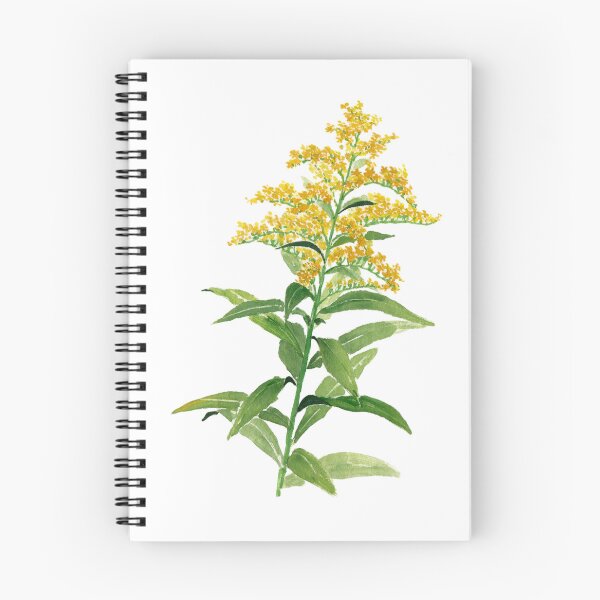 Item preview, August 13th birthday flower Goldenrod designed and sold by birthflower.
