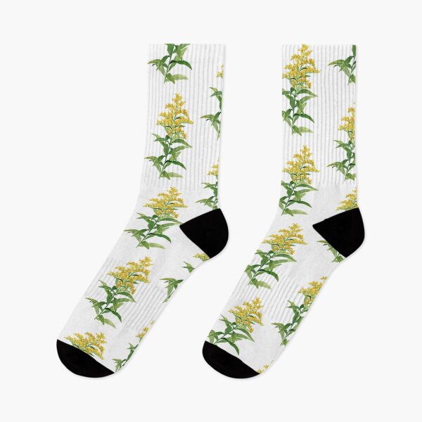 Item preview, August 13th birthday flower Goldenrod designed and sold by birthflower.
