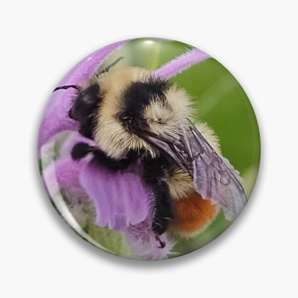 Item preview, A bee and her flower designed and sold by A-Bee-444.