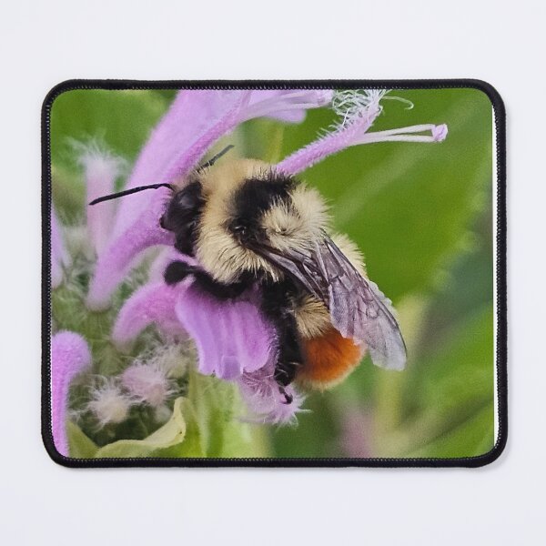 Item preview, A bee and her flower designed and sold by A-Bee-444.