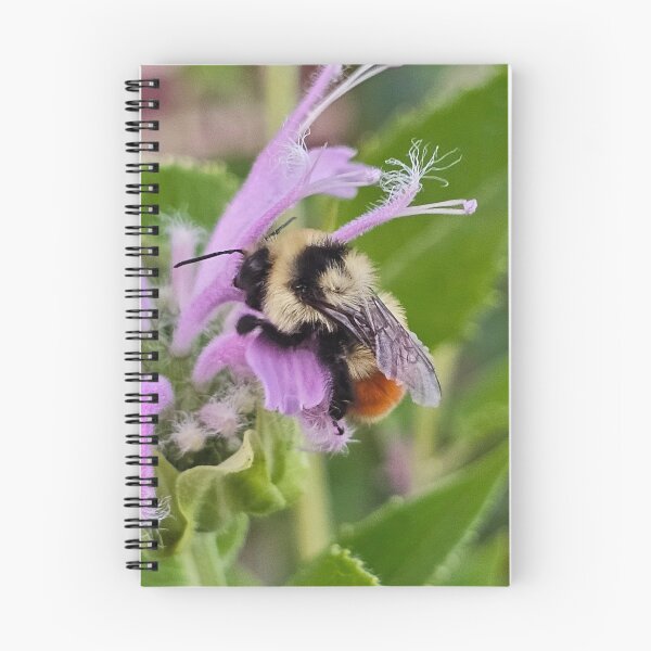 Item preview, A bee and her flower designed and sold by A-Bee-444.