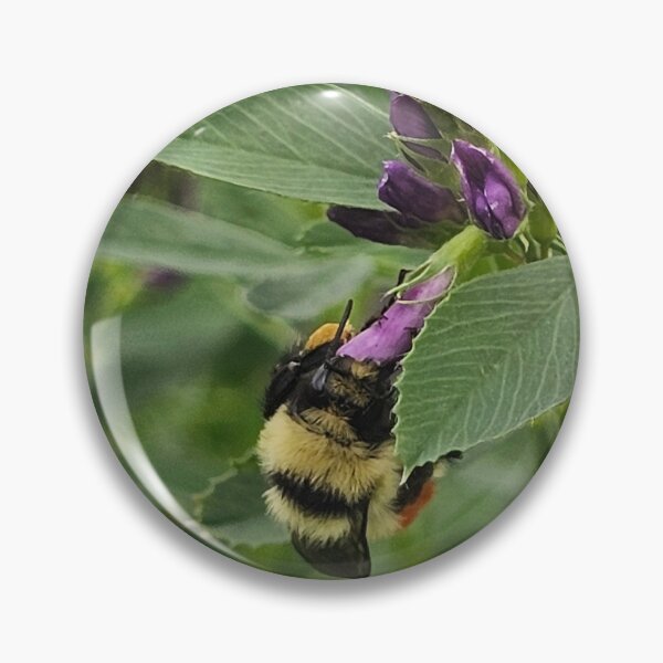 Item preview, A weed to one is food to another designed and sold by A-Bee-444.