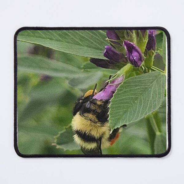 Item preview, A weed to one is food to another designed and sold by A-Bee-444.
