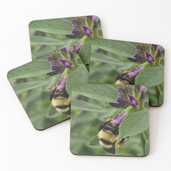 Item preview, A weed to one is food to another designed and sold by A-Bee-444.