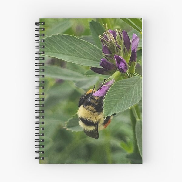 Item preview, A weed to one is food to another designed and sold by A-Bee-444.