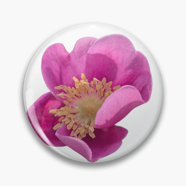 Item preview, Rose Herb designed and sold by anothercreator2.