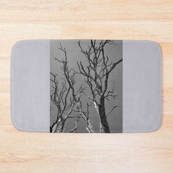 Item preview, Dead Tree against Sky designed and sold by Anthony Macaluso.