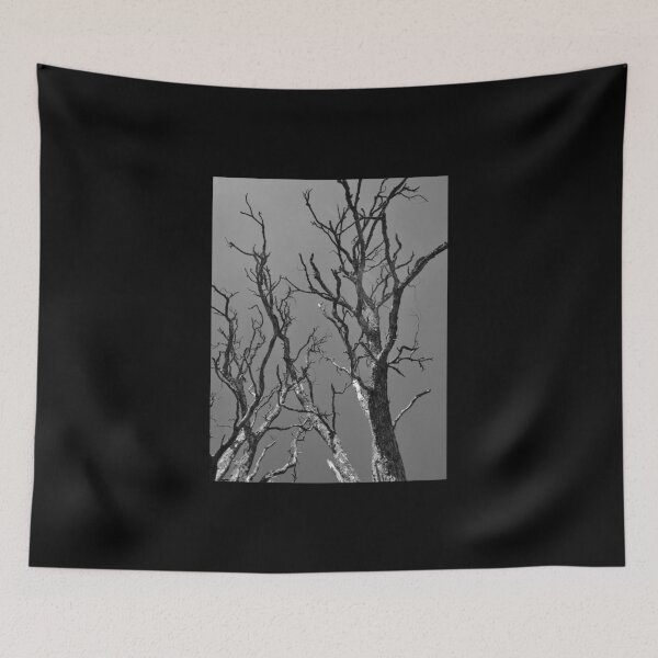 Item preview, Dead Tree against Sky designed and sold by Anthony Macaluso.