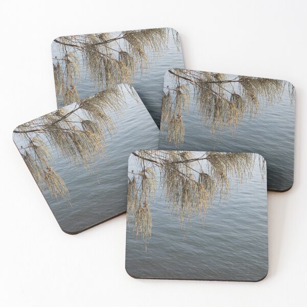 Item preview, Australian Casuarina She-Oak Branch Over Calm Water designed and sold by 27Tammy27.