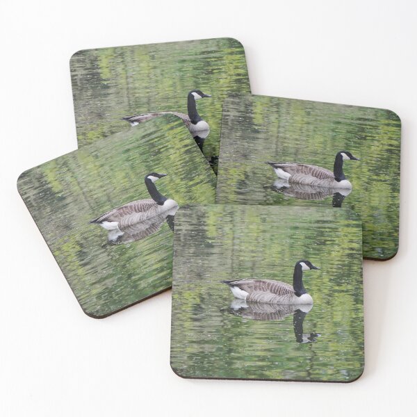 Item preview, Canada Goose Swimming on Water | Wildlife Bird Photography designed and sold by pigeonlovrs.