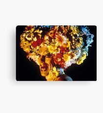 Priscilla Queen of the Desert Canvas Print