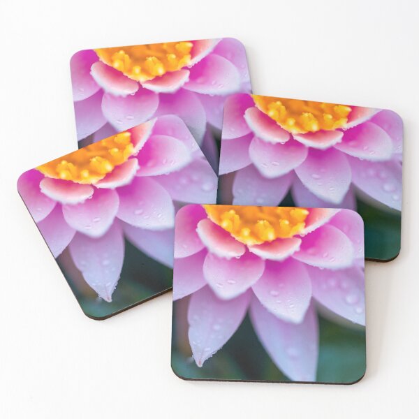 Item preview, Water Lily designed and sold by assaf.