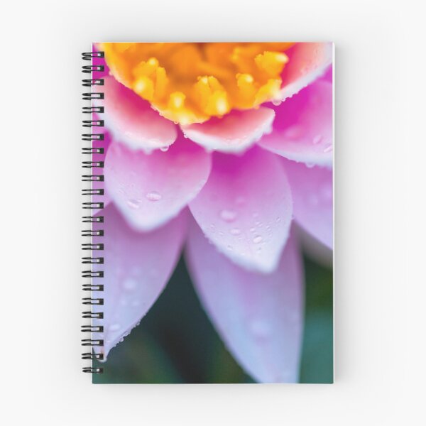 Item preview, Water Lily designed and sold by assaf.