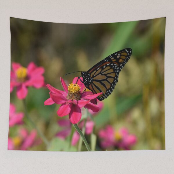 Item preview, Monarch Butterfly on Pink Cosmos Flower designed and sold by TathataPhotos.