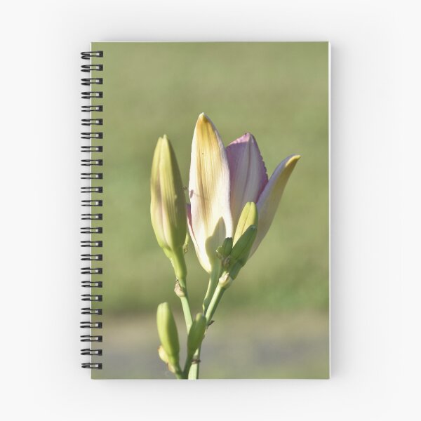Item preview, Pink Yellow Lily Bud Vertical Portrait Wall Art designed and sold by TathataPhotos.