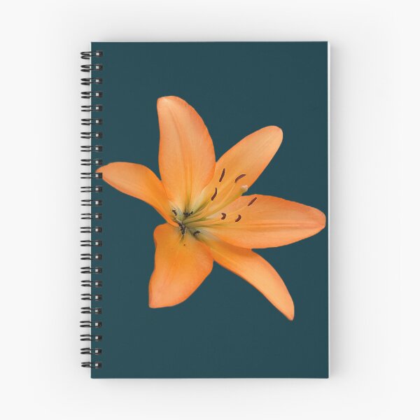 Item preview, Orange Lily  designed and sold by Amanda1775.
