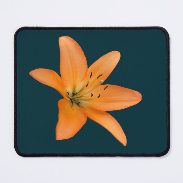Item preview, Orange Lily designed and sold by Amanda1775.