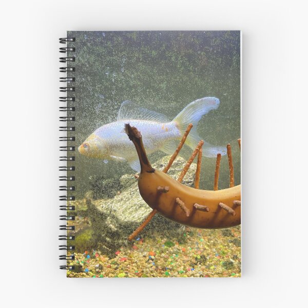 Item preview, Fish mimicking banana with pretzels (real photo) designed and sold by real-mars-art.