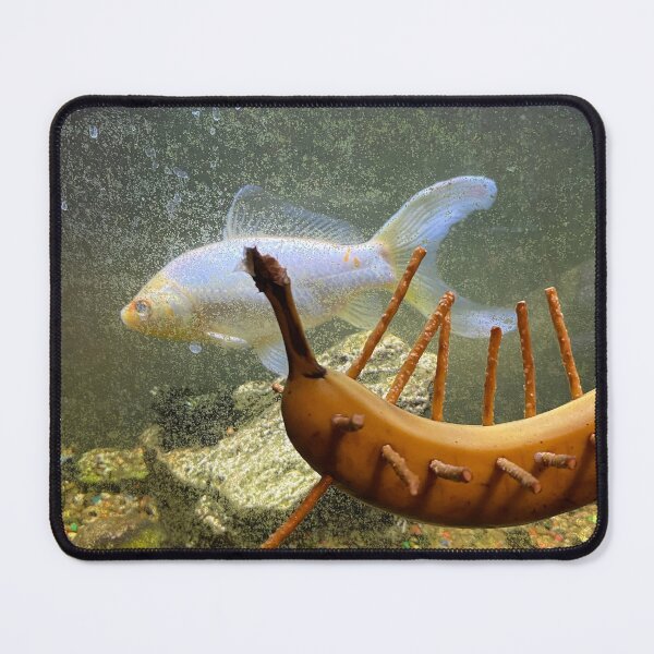 Item preview, Fish mimicking banana with pretzels (real photo) designed and sold by real-mars-art.