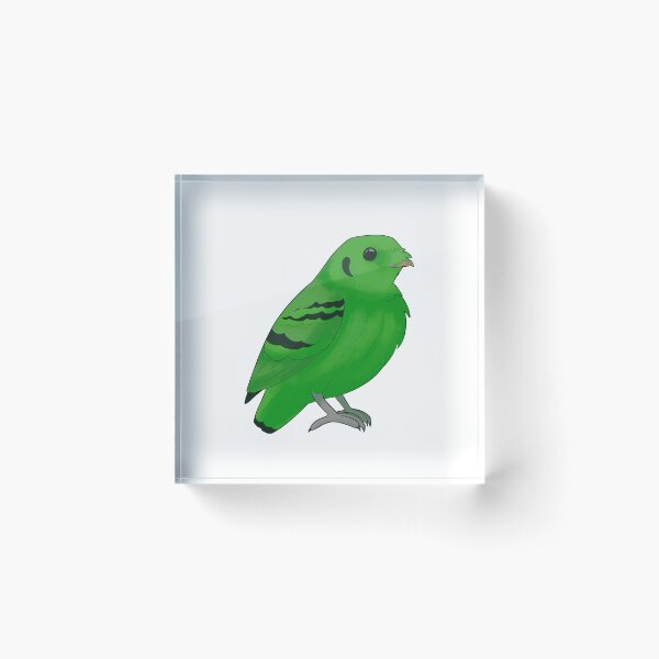 Item preview, Green Broadbill designed and sold by Sonderdaisies.