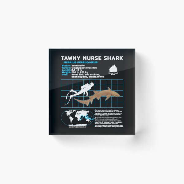 Item preview, Tawny Nurse shark data sheet designed and sold by NicGrayGraphic.