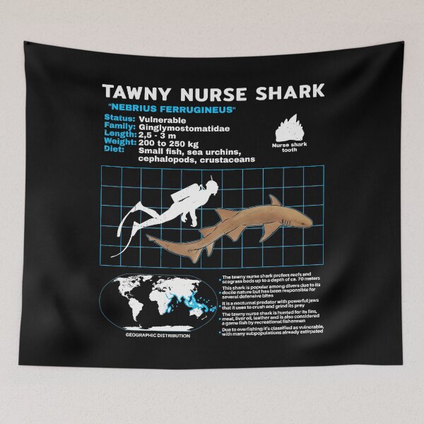Item preview, Tawny Nurse shark data sheet designed and sold by NicGrayGraphic.