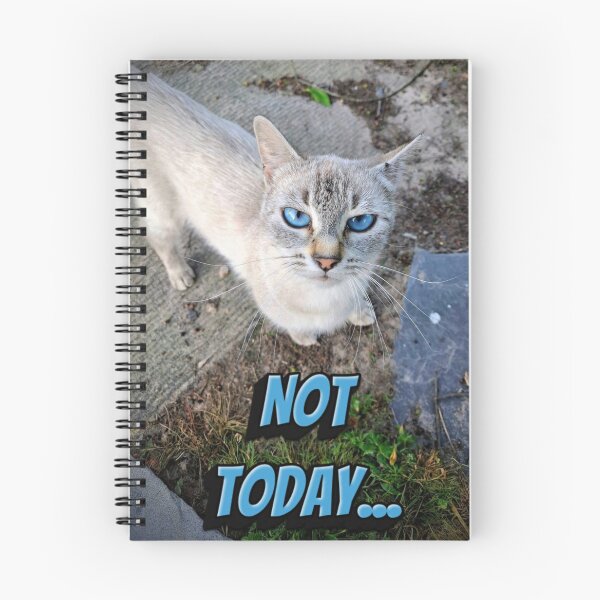 Item preview, Not Today Funny Cute Siamese Cat Meme designed and sold by Blackfire's Witchy Wonders.