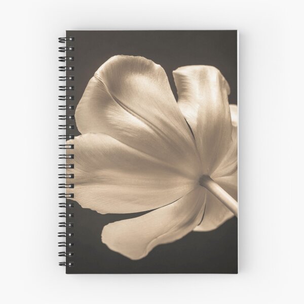 Item preview, Tulip flower designed and sold by assaf.