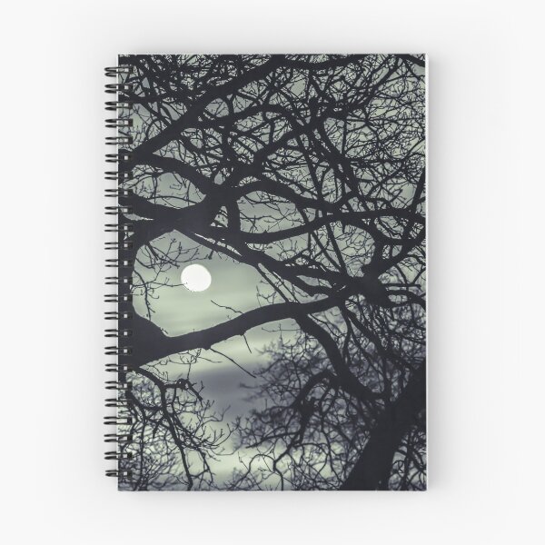 Item preview, Moon through branches, night shot designed and sold by assaf.