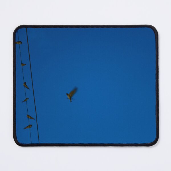 Item preview, Birds on a Wire at Twilight, Hoi An designed and sold by Hội An Photographer.
