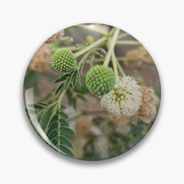 Item preview, summer bloom, white leadtree designed and sold by Lunar-Dragon.