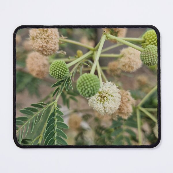 Item preview, summer bloom, white leadtree designed and sold by Lunar-Dragon.