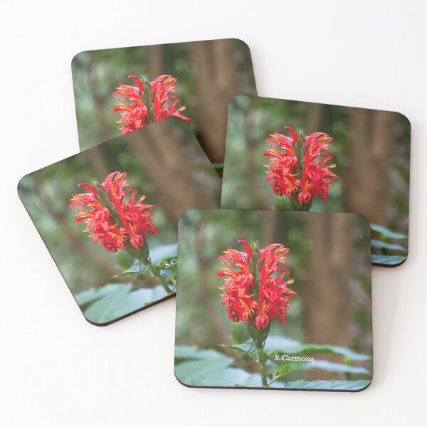 Item preview, Vibrant Red Tropical Flower Closeup - Botanical Nature Photography designed and sold by AuraInkSC.