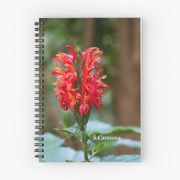 Item preview, Vibrant Red Tropical Flower Closeup - Botanical Nature Photography designed and sold by AuraInkSC.