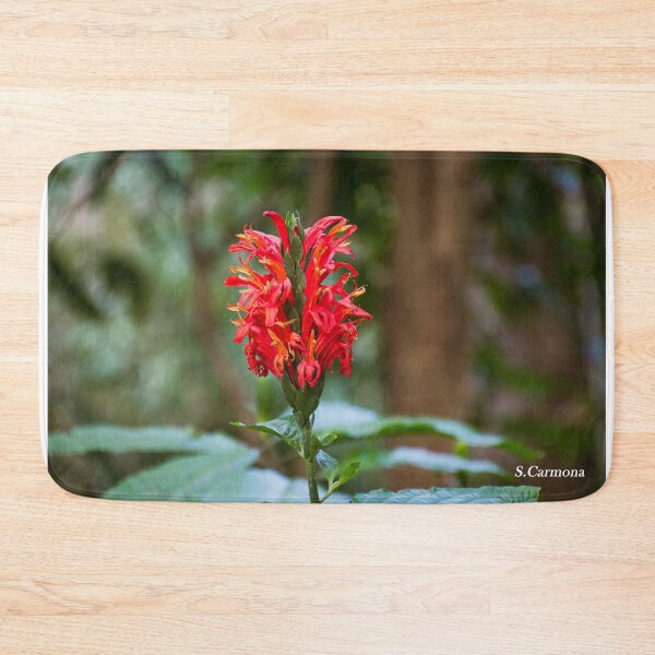Item preview, Vibrant Red Tropical Flower Closeup - Botanical Nature Photography designed and sold by AuraInkSC.