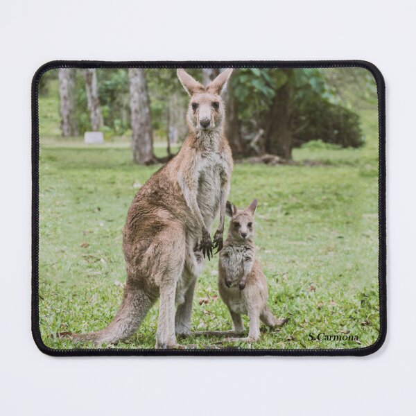Item preview, Mother and Baby Kangaroo in the Australian Bush designed and sold by AuraInkSC.
