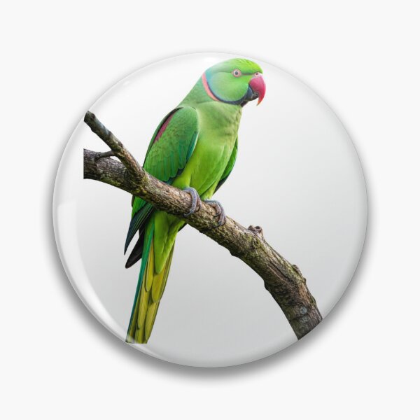 Item preview, Parrot designed and sold by Misbahdin1.