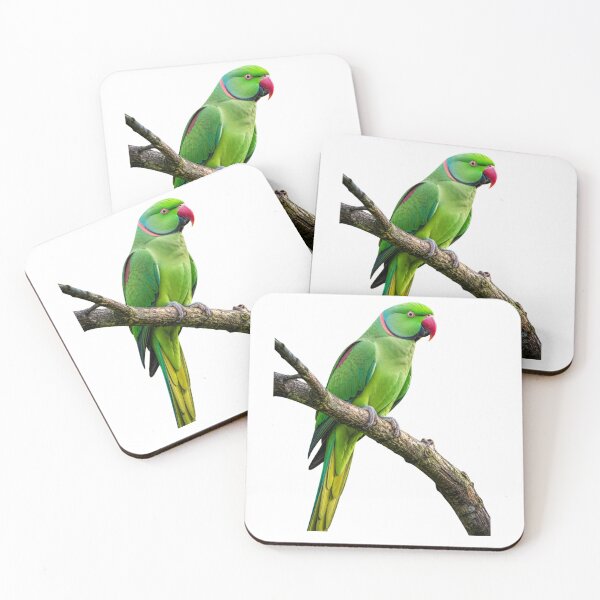 Item preview, Parrot designed and sold by MS GARMENTS.