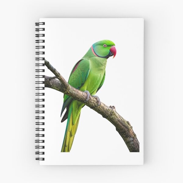 Item preview, Parrot designed and sold by Misbahdin1.