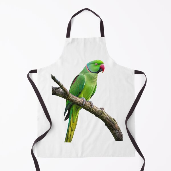 Item preview, Parrot designed and sold by MS GARMENTS.