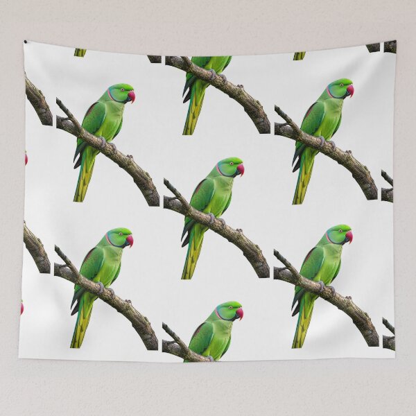 Item preview, Parrot designed and sold by MS GARMENTS.