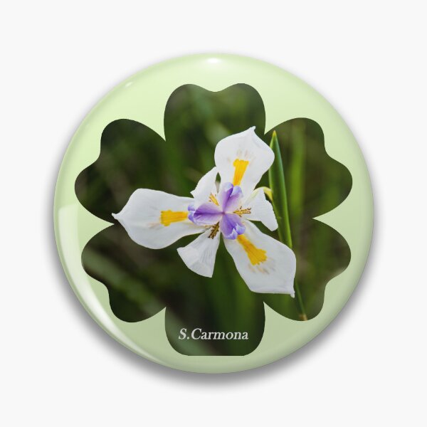 Item preview, White Dietes Grandiflora Wild Iris Botanical Flower Art designed and sold by AuraInkSC.