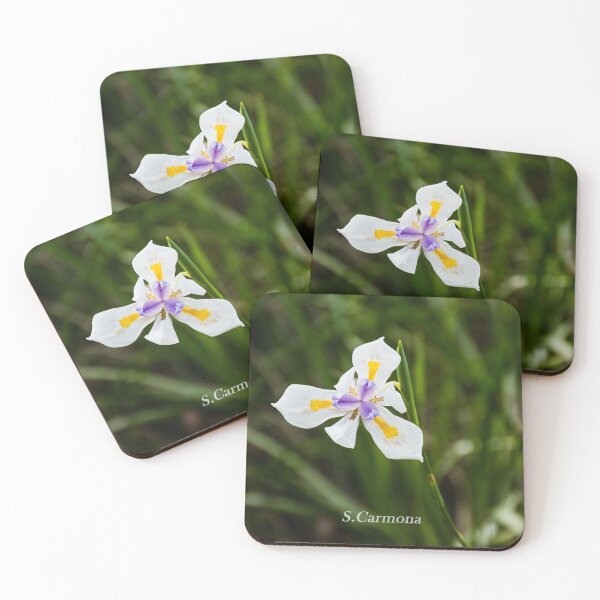 Item preview, White Dietes Grandiflora Wild Iris Botanical Flower Art designed and sold by AuraInkSC.